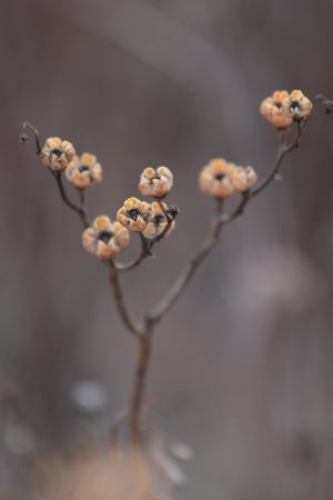 February 6, 2016 Photo by Michelle Sharp