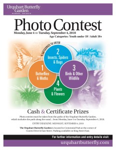 Photo Contest Poster Letter_2018