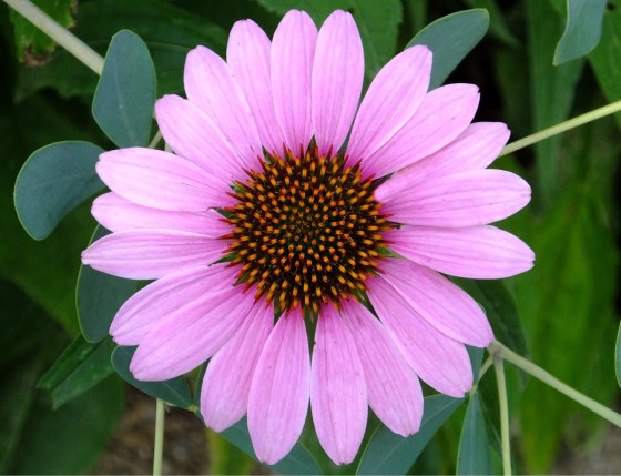 04F3BA7C-847D-460B-8DDB-8091F1416EEB