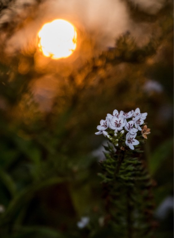 0A4C1B6E-9D27-4207-99E1-10EF78A53A00