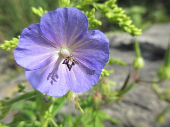 1FCBE8F2-2C26-4FC0-91F7-DC26BC210191