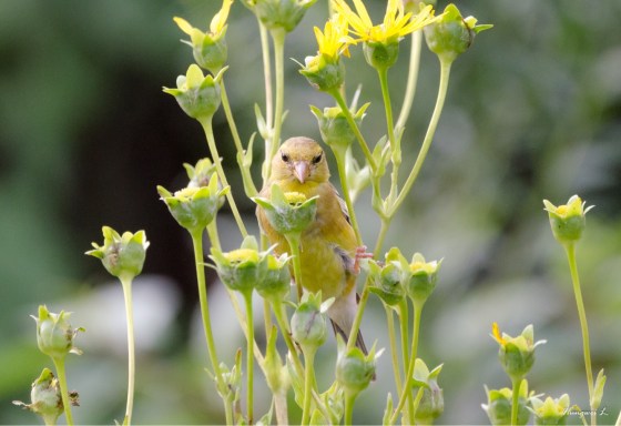 242FB856-5A4E-4795-9A26-27040C69CF97