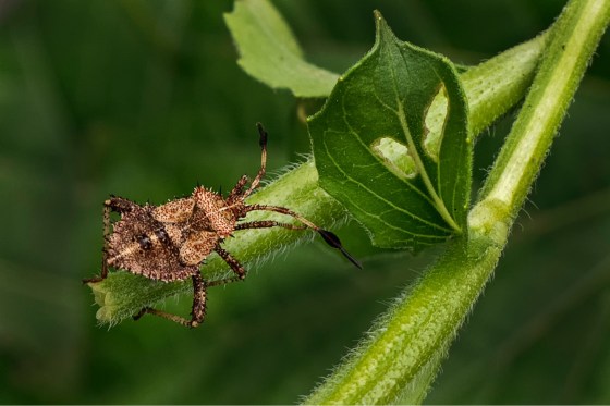 2C46A60C-9B16-46A0-915A-BF69152C5C4F