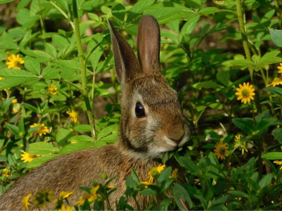 312EB404-7B0F-43BF-9B32-CFEE335BD940