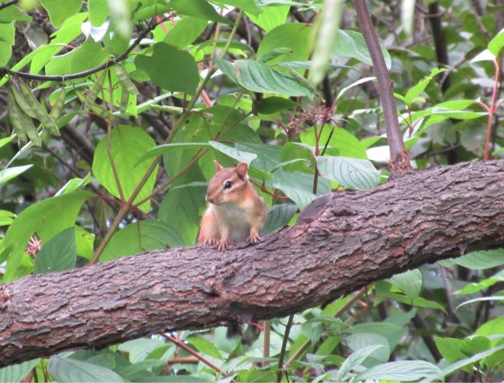 31D79A12-B135-4527-80B4-1AD06E9C1FAE