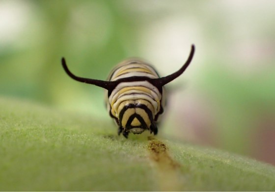 5884C5A0-815E-4916-8C70-94F3540C299F