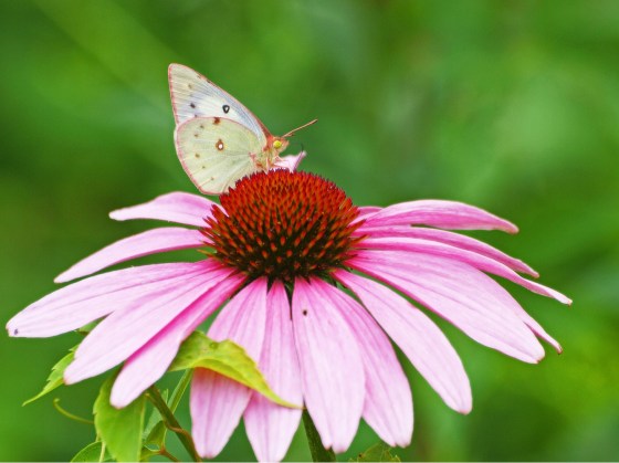 5D651C4D-D0FF-4624-99A6-EE34AB808F89