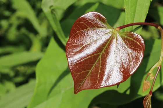 617D2500-AE5A-45D2-AF2C-086EA2B7878C