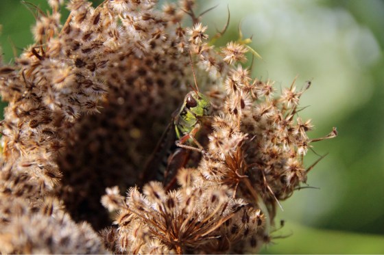 625BD61D-EF0C-498B-9599-A43B089D450B