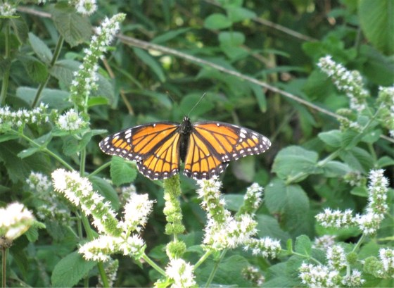 6378299B-41CF-413E-80EA-1EC6FE10A77D