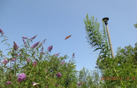 89C2B832-5A16-4677-8106-57A7E0EB5C59