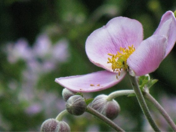 B5D6E5C3-D968-4F5A-8B85-CCFF723712E9