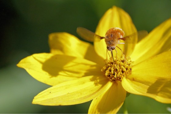 BA1C73D5-C259-49E9-91ED-AC3940A50EA3