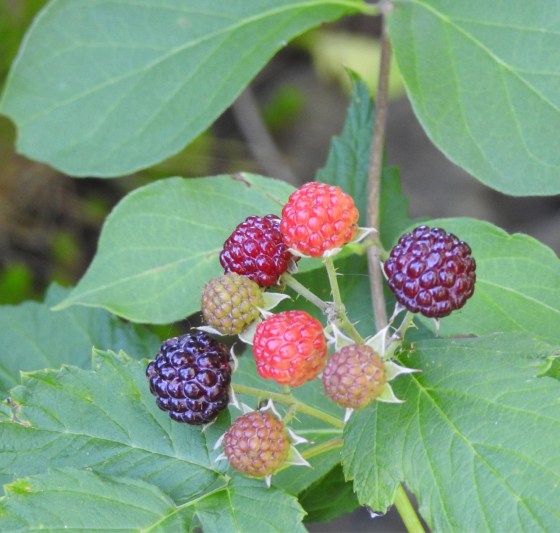 C39B9495-54B3-4AA0-8F34-307D3514637E