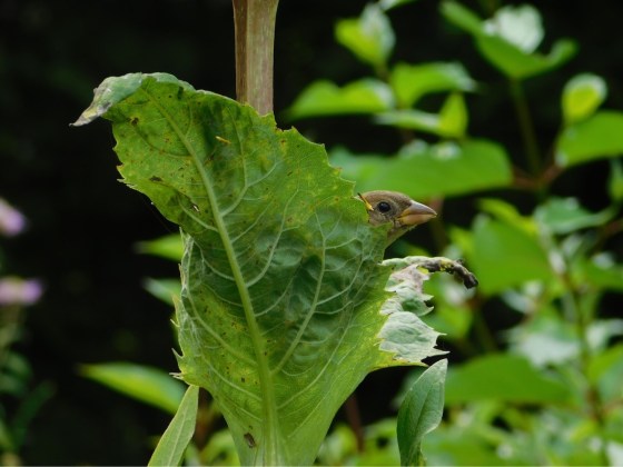 E36469FF-07D3-4F8C-9DB8-ADC92CE51D88