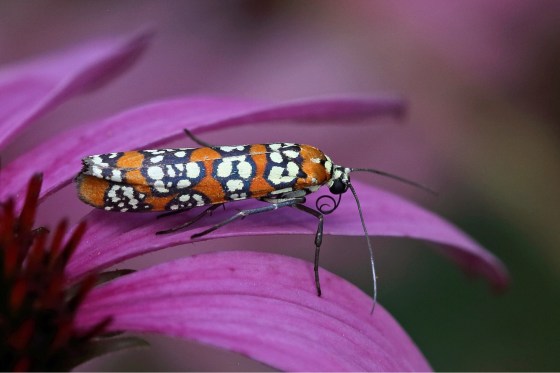 ED9F2C98-134B-4D5E-8EE7-9DBE72E82D12