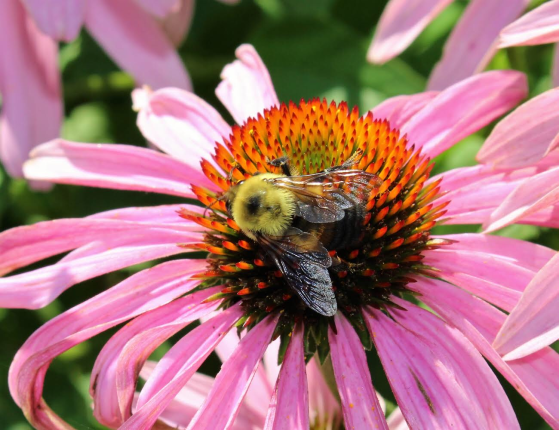 FDA07CC5-8089-455E-A02F-8C9E4733CFD3