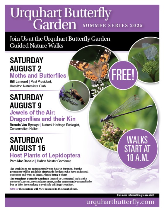 Nature Walks in August at Urquhart Butterfly Garden